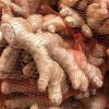 *1 Lb Organic Ginger