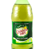 1 L Canada Dry soda ginger ale