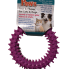 Paws toys & chews for cats and dogs