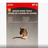 2 pcs mouse bond traps wellson