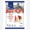 1kg arctic wild surf clams