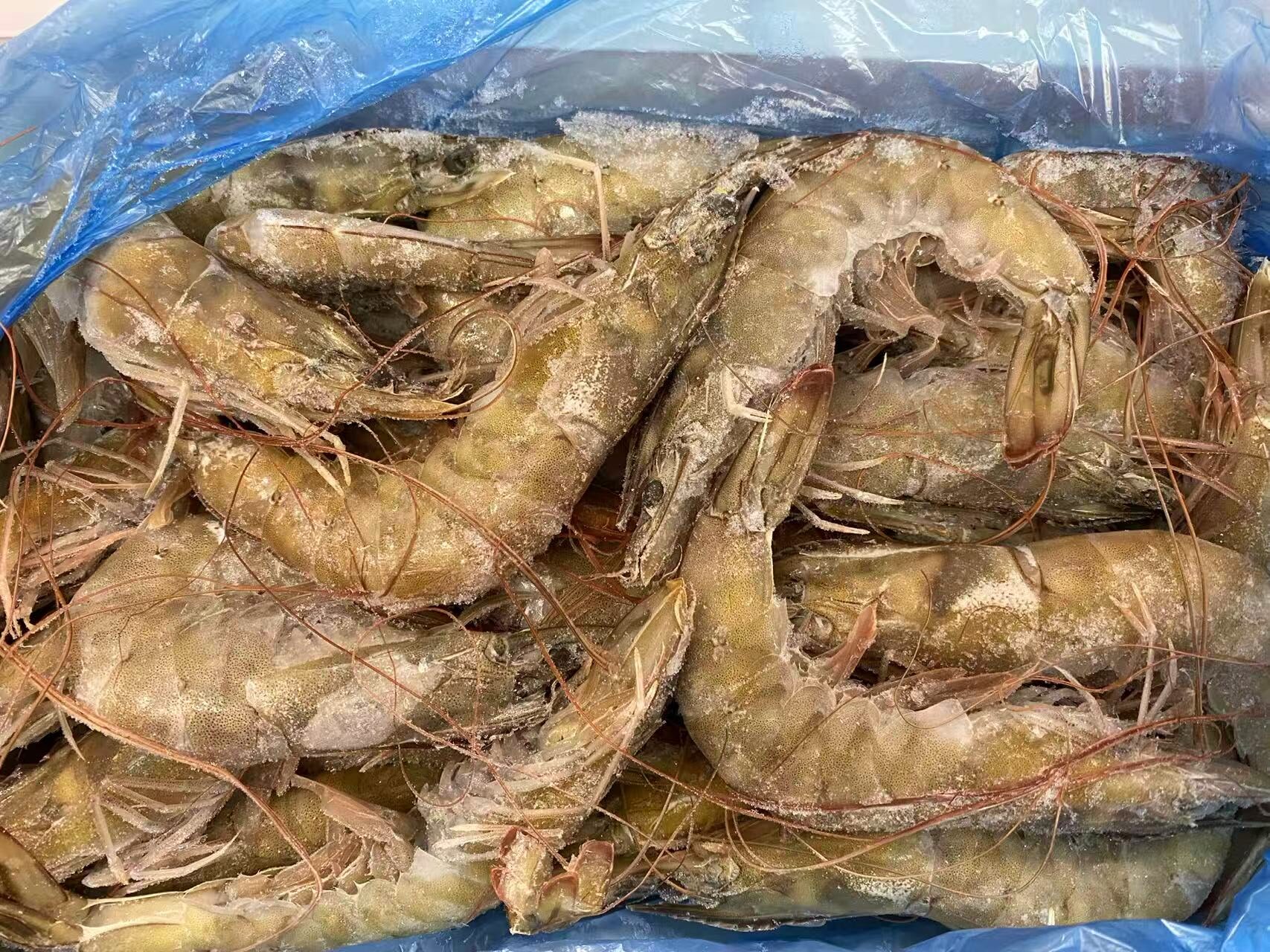 4lbs white shrimp frozen raw