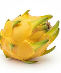 2.5kg golden dragon fruit